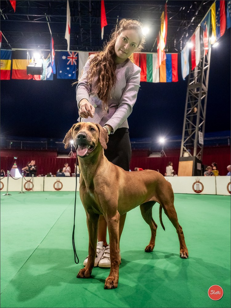 Expo canine 🇲🇨  Monaco 10-11/05/2025. Photographe à Strasbourg | Portraits, Studio, Enfants, Événements