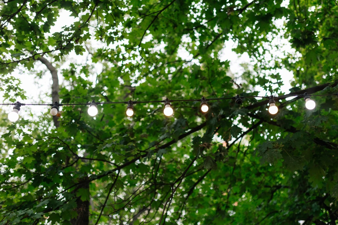 FEEDBACK. Fulga Photographer