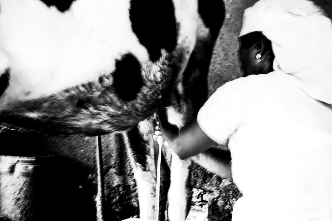 Its a passion to photograph the beauty of life itself. Murat Bostan Photography Documentary, Event and Portrait