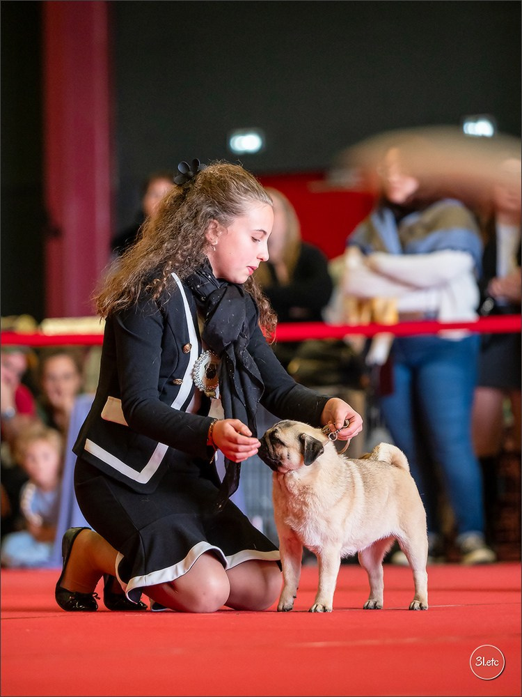 Exposition Canine à  Margny-lès-Compiègne 14-15/09/2024. Photographe à Strasbourg | Portraits, Studio, Enfants, Événements