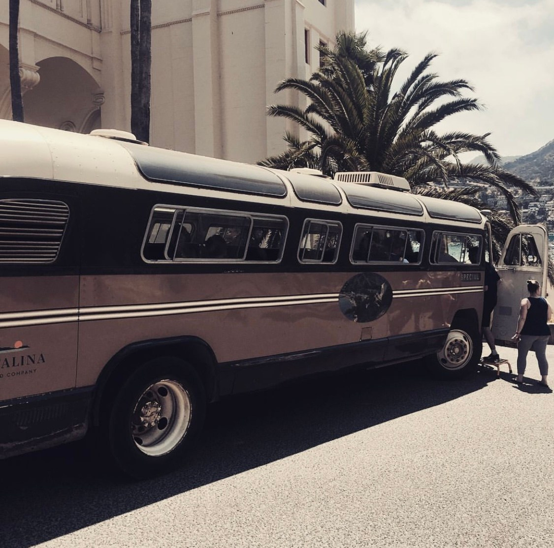 Lens Work From Field  1