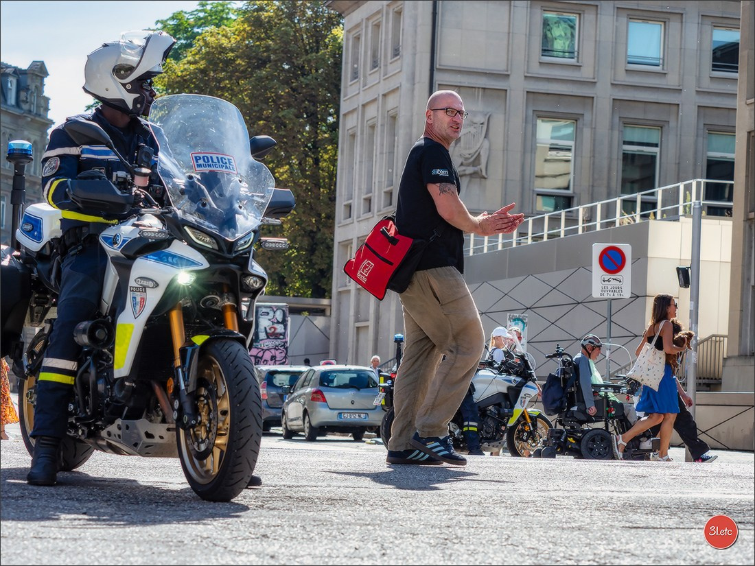 Teckels Parade Strasbourgeoise  Vous pouvez voir le galerie de photos. Photographe à Strasbourg | Portraits, Studio, Enfants, Événements