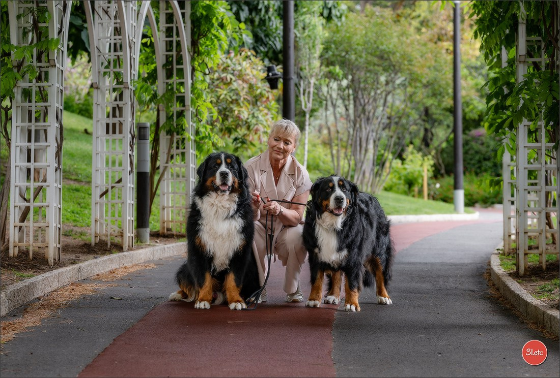 Expo canine 🇲🇨 Monaco 9-10/05/2026. Photographe à Strasbourg | Les animaux, Portraits, Studio, Événements