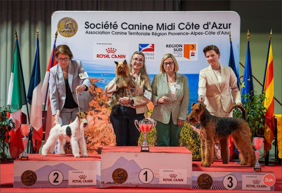 Expo canine 🇫🇷 Martigues 18-19/04/2026