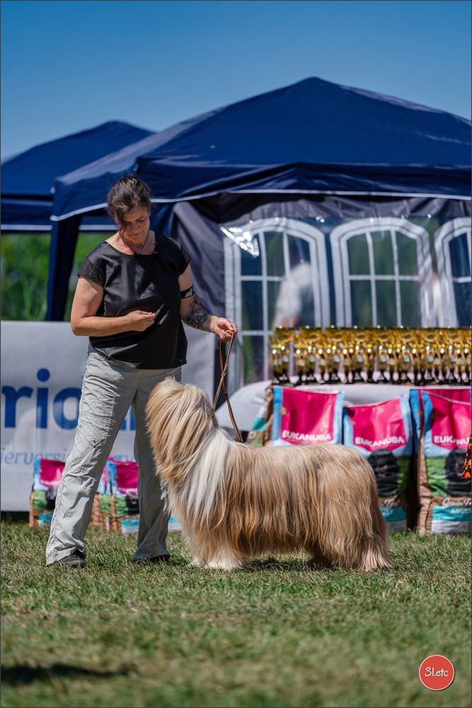 Dog Show - Hallbergmoos 🇩🇪 11-12/07/2026