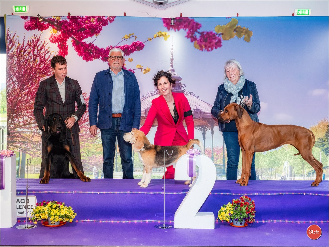 Expo canine 🇫🇷 Valence 03-04/05/2025. Photographe à Strasbourg | Portraits, Studio, Enfants, Événements