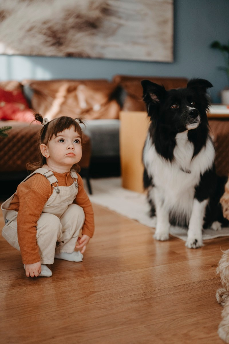 Natasa, Ema i Lazar — porodicno fotografisanje kod kuce. Deciji i porodicni fotograf u Beogradu Oksana Skendzic