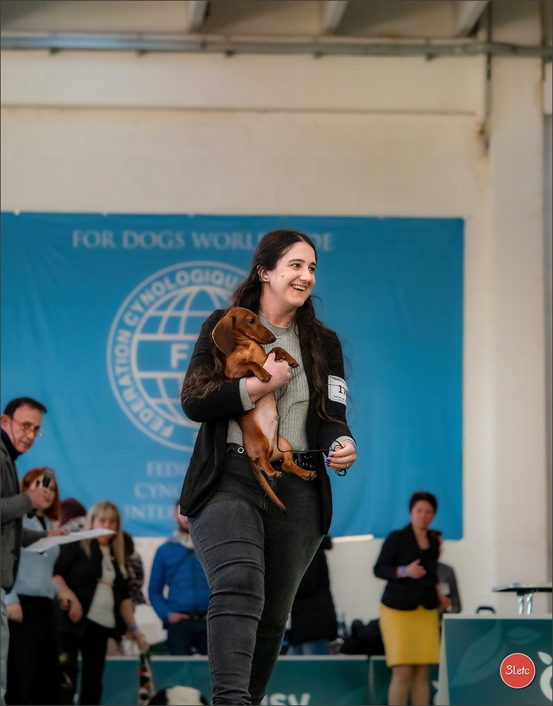 Dog Show  🇮🇹  San Marino. Photographe à Strasbourg | Portraits, Studio, Enfants, Événements
