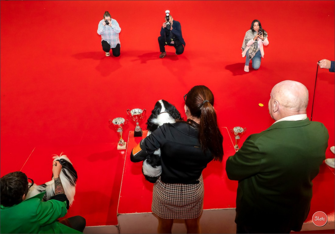 Expo canine 🇫🇷 Poitiers 18-19/10/2025. Photographe à Strasbourg | Portraits, Studio, Enfants, Événements