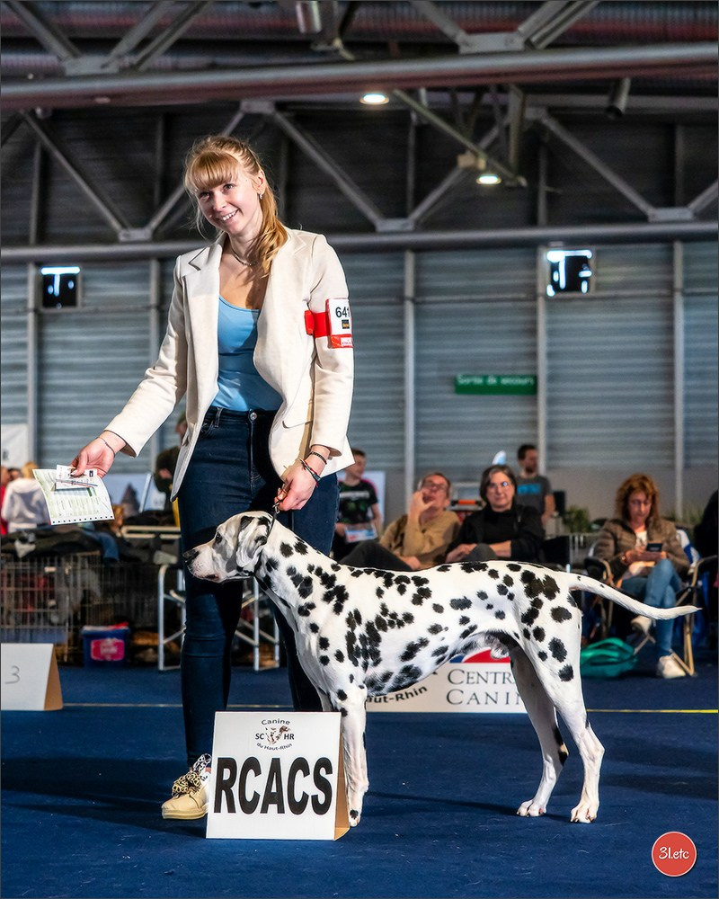 Expositions canines des 6 & 7 avril 2024 NDS Mulhouse, France. Photographe à Strasbourg | Portraits, Studio, Enfants, Événements