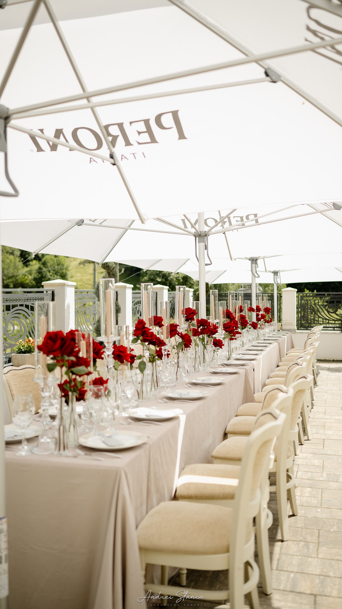 Claudia & Mircea. Andrei Stanea