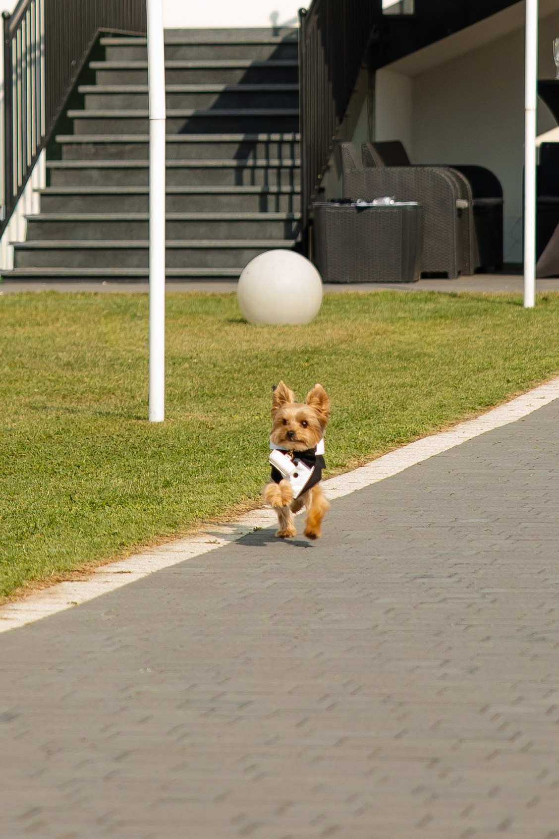 Артур + Анастасія. Весільний, сімейний фотограф Варшава