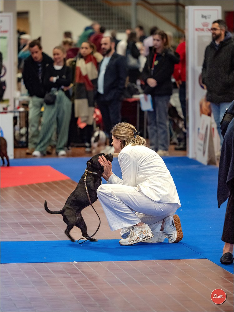 🇫🇷  Angers  🇫🇷  Expo canine  21-22/03/2026. Photographe à Strasbourg | Portraits, Studio, Enfants, Événements