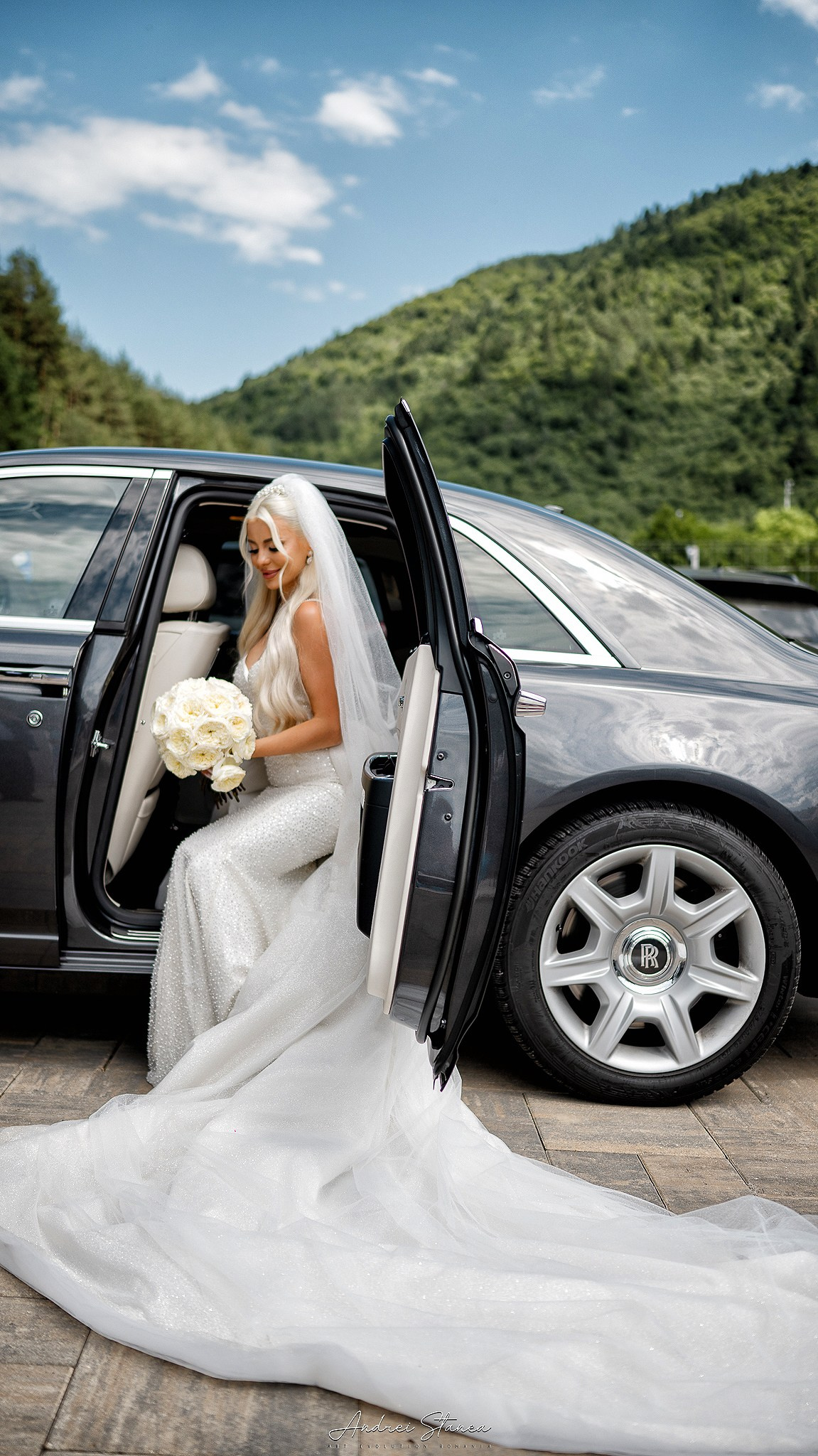 Portofolio. Andrei Stanea