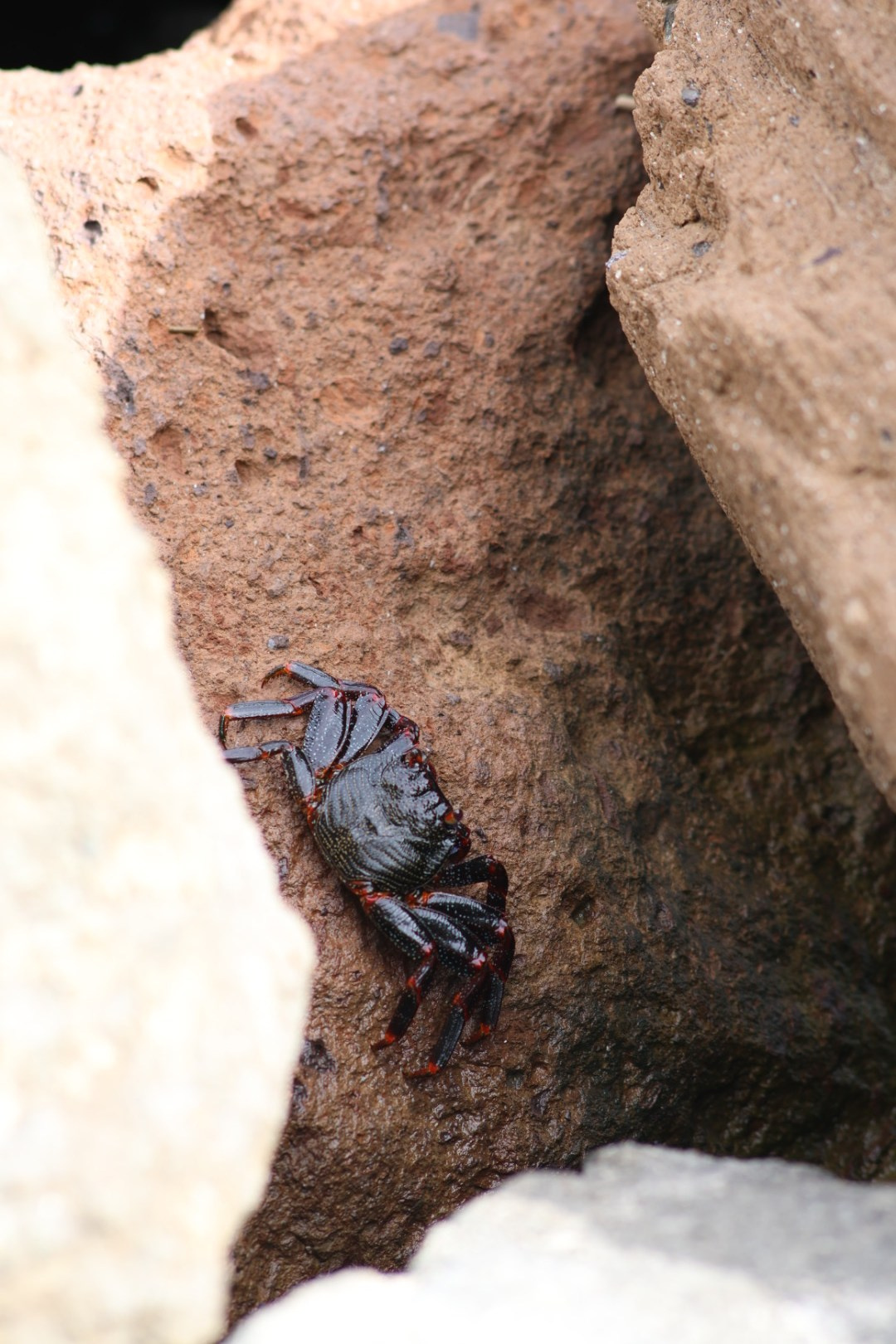 Gran Canaria 2024. Марина фотограф из Нюрнберга