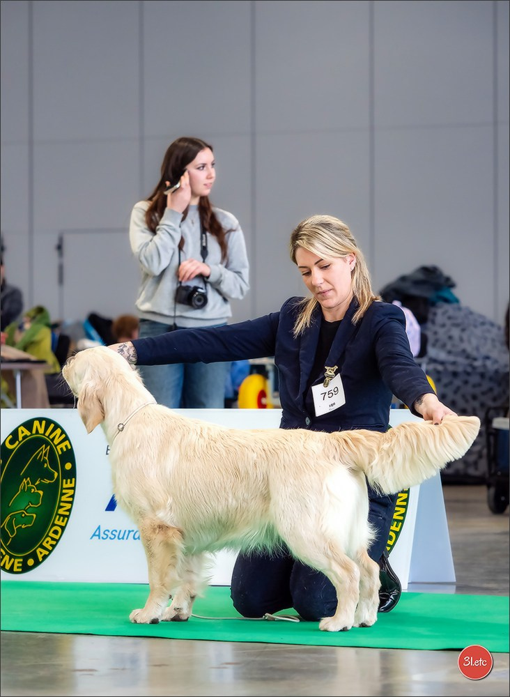 🇫🇷  Chalons en Champagne  🇫🇷  Expo canine  31/01-01/02/2026. Photographe à Strasbourg | Portraits, Studio, Enfants, Événements