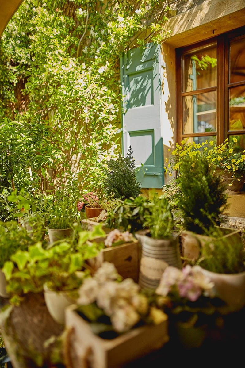 Brand Photography for Small Business