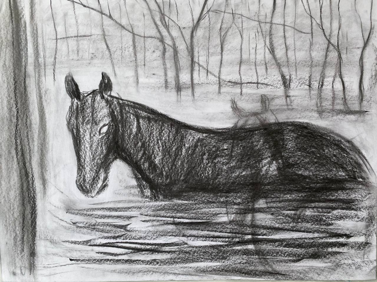 Chevaux. Marina Antonova