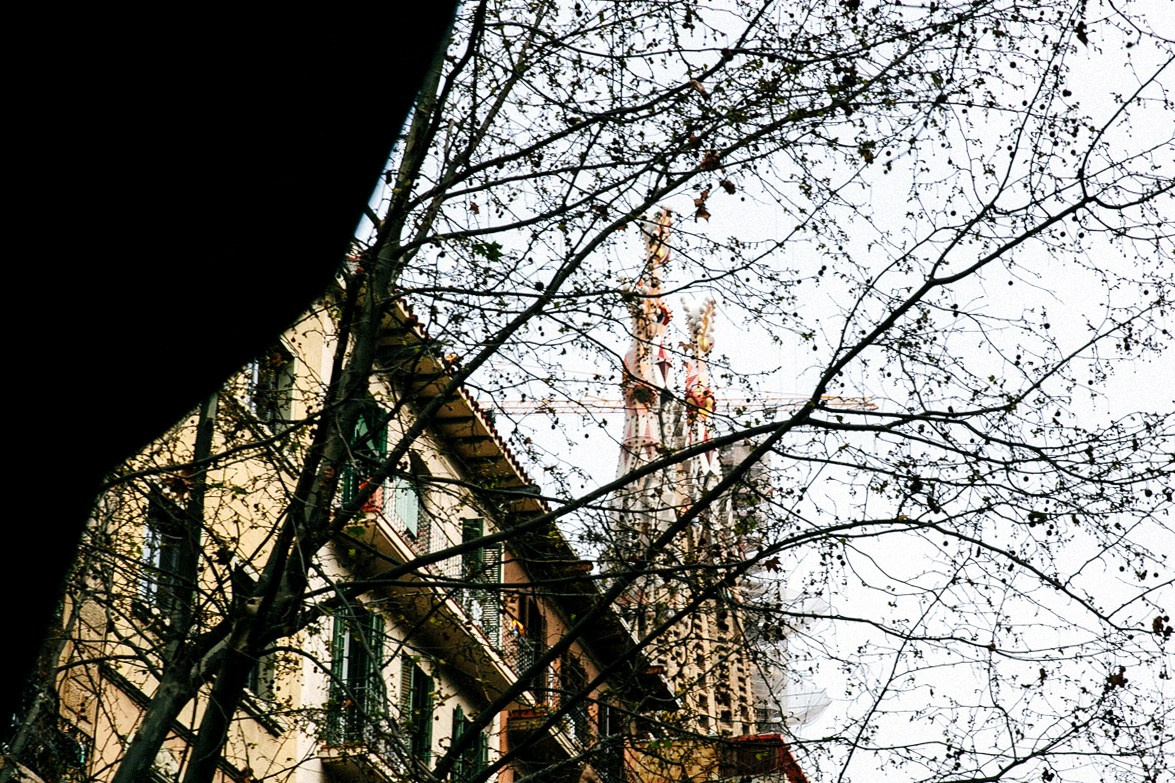 Испания. Портретный фотограф Алена Новгородцева