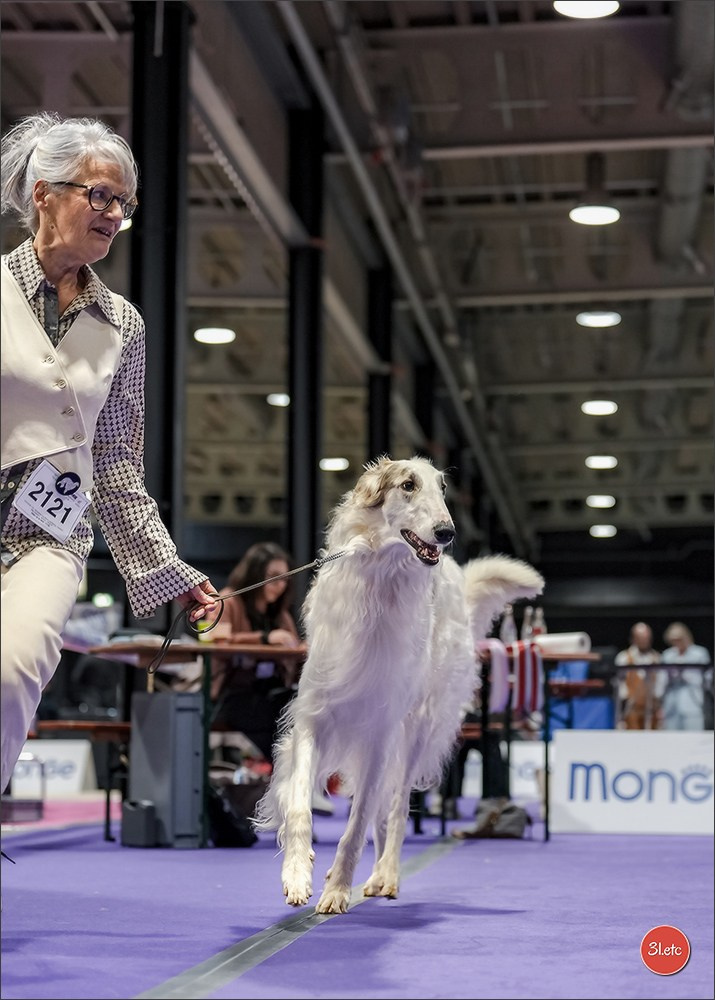 🇱🇺 LUXEMBOURG 🇱🇺 International Dog Show 4-5/04/2026. Photographe à Strasbourg | Portraits, Studio, Enfants, Événements