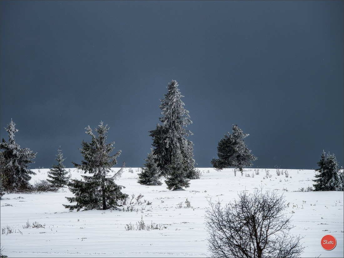 Temps étonnant fin avril en Alsace. Il a neigé. Photographe à Strasbourg | Portraits, Studio, Enfants, Événements