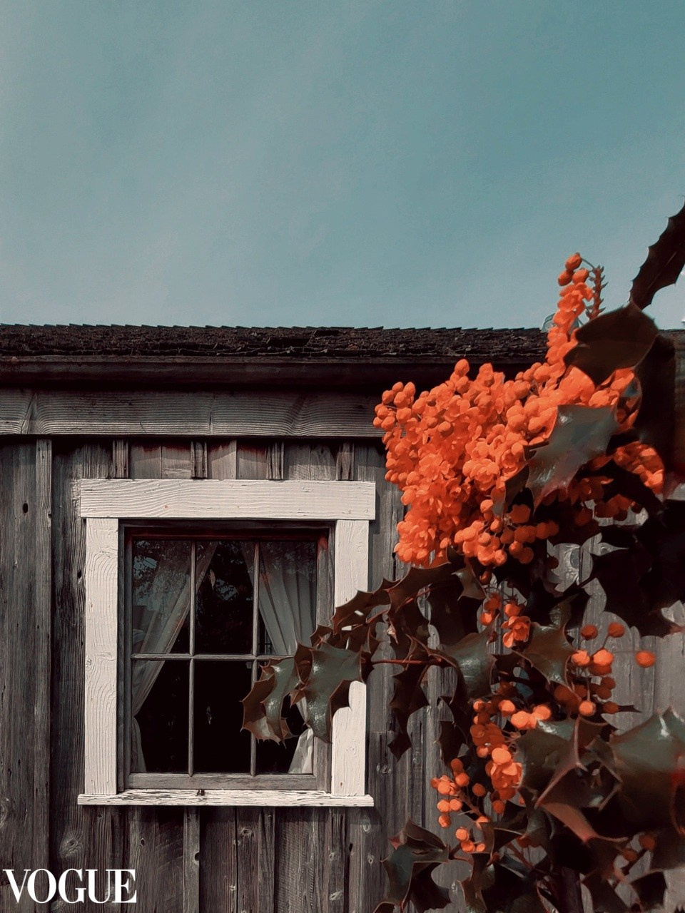 AWARDS. Yana Bobrova | Artistic Photography