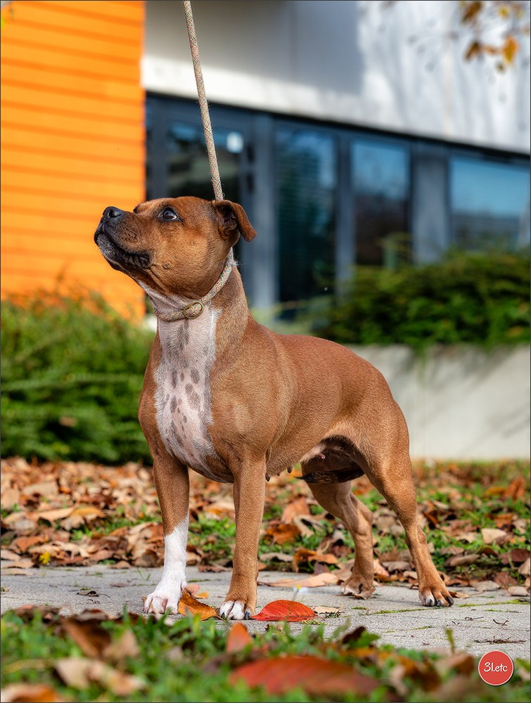 Strasbourg autumn. Photographe à Strasbourg | Portraits, Studio, Enfants, Événements