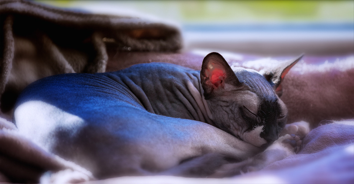 Rezension. LUKIN IGOR Photography