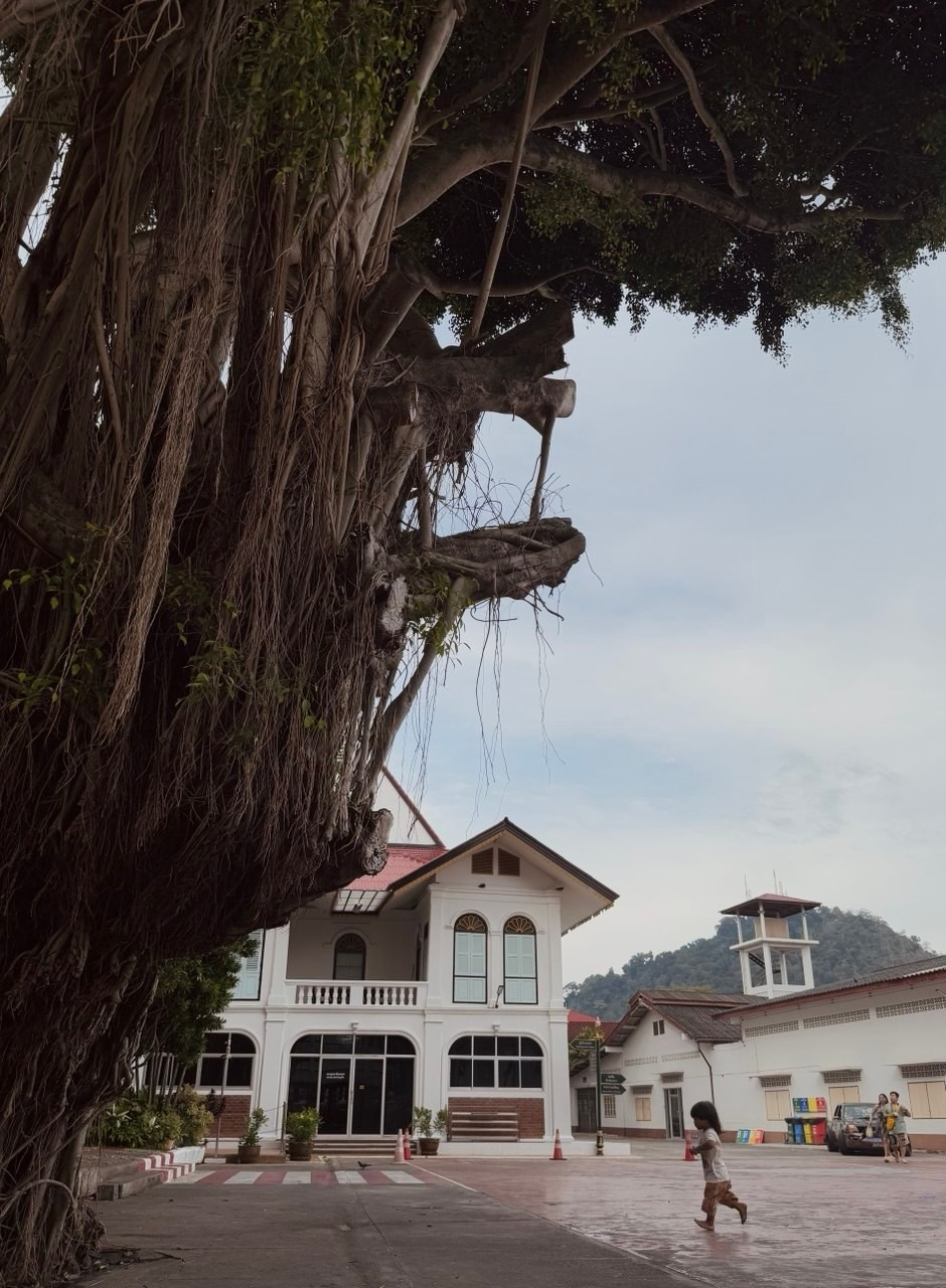 Phuket_2024/2025. Photographer, photo artist Alena Novgorodtseva