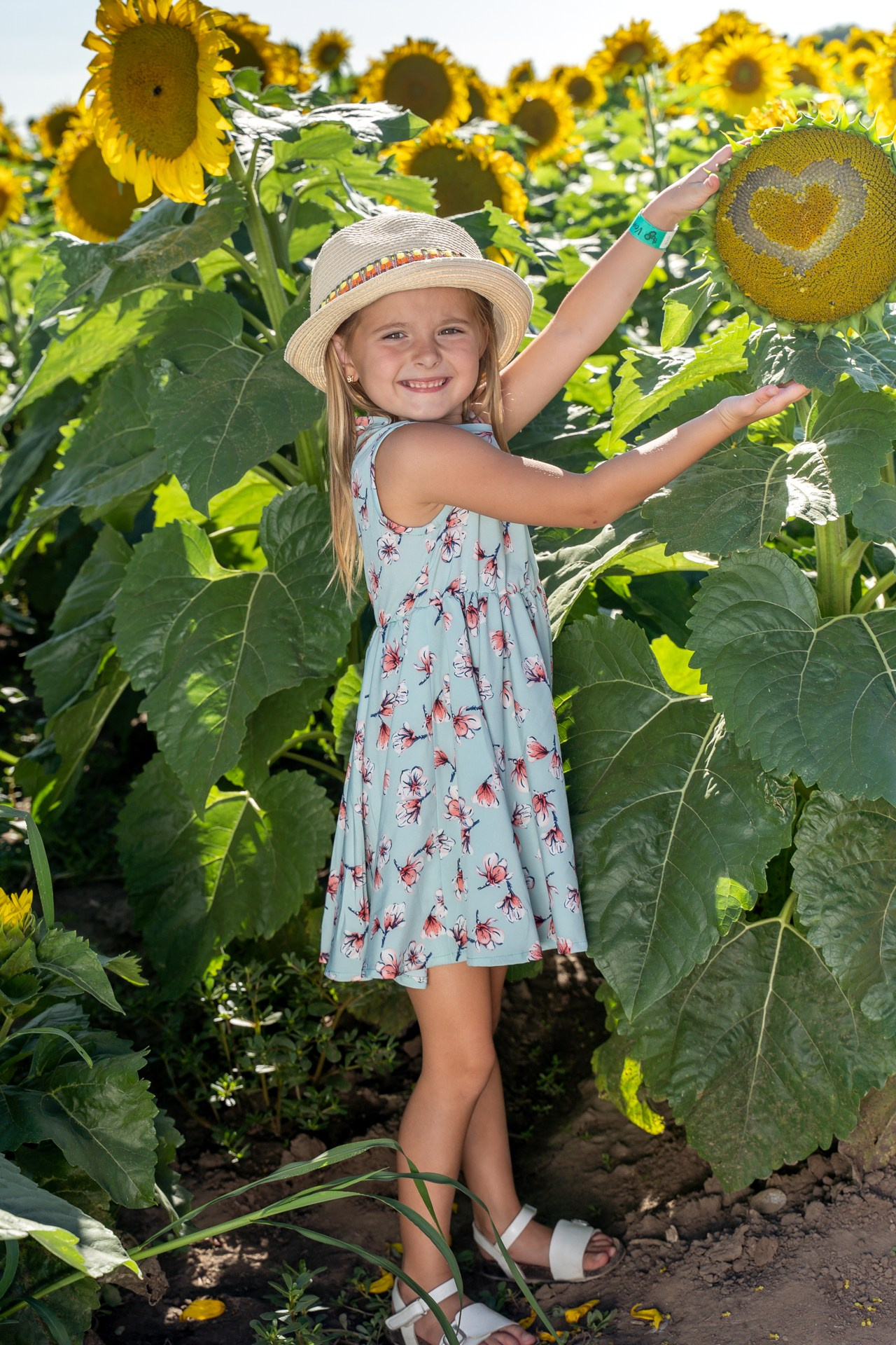Sunflowers. ARTIGO Igor Rudyi Art Photography