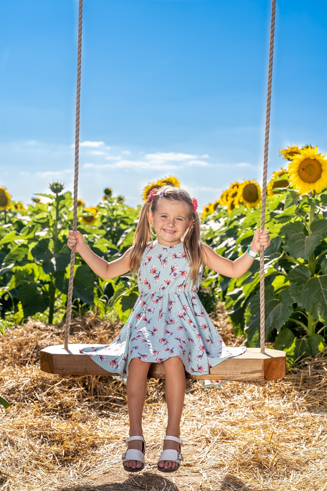 Sunflowers. ARTIGO Igor Rudyi Art Photography