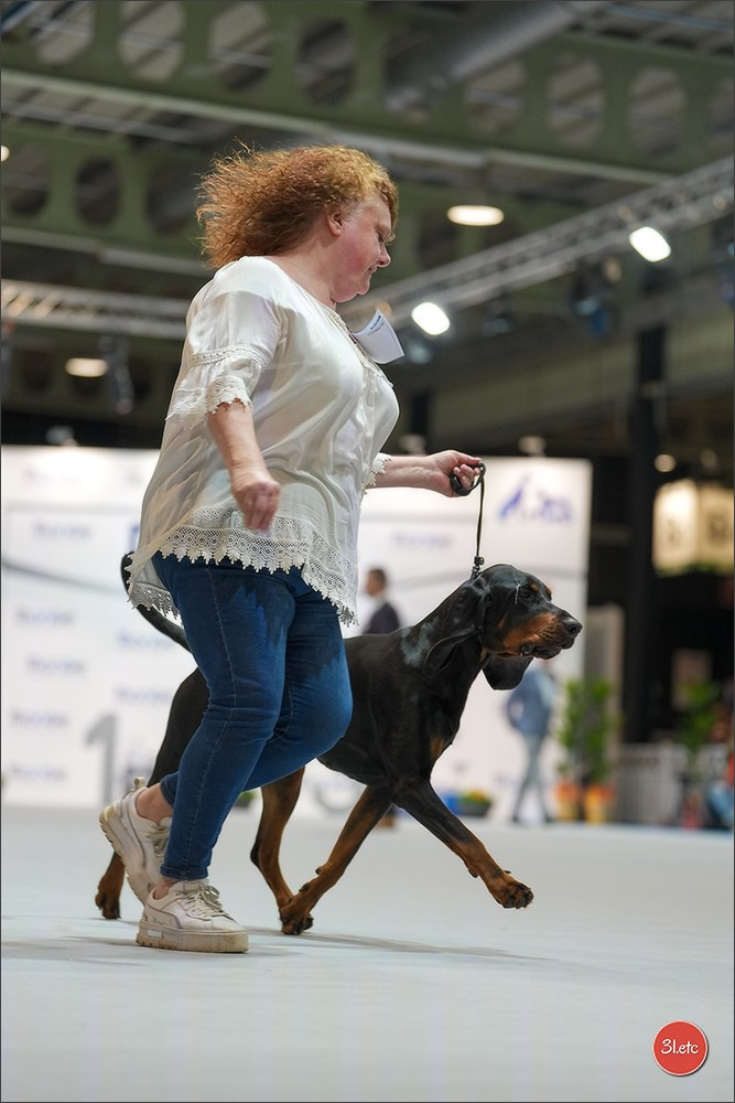 🇱🇺 LUXEMBOURG 🇱🇺 International Dog Show 4-5/04/2026. Photographe à Strasbourg | Portraits, Studio, Enfants, Événements