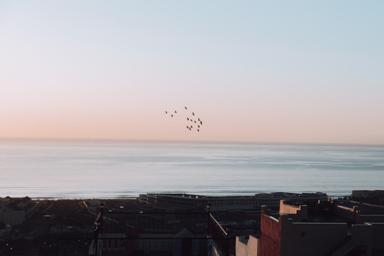 fotografka Praha Dana Lišková Foxy Photography lifestyle and travel