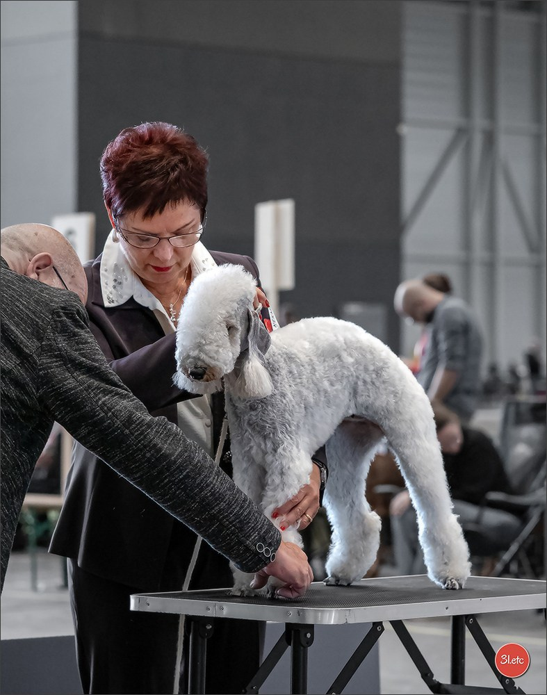 🇨🇭 Geneva 03-05.10.2025 🇨🇭. Photographe à Strasbourg | Portraits, Studio, Enfants, Événements