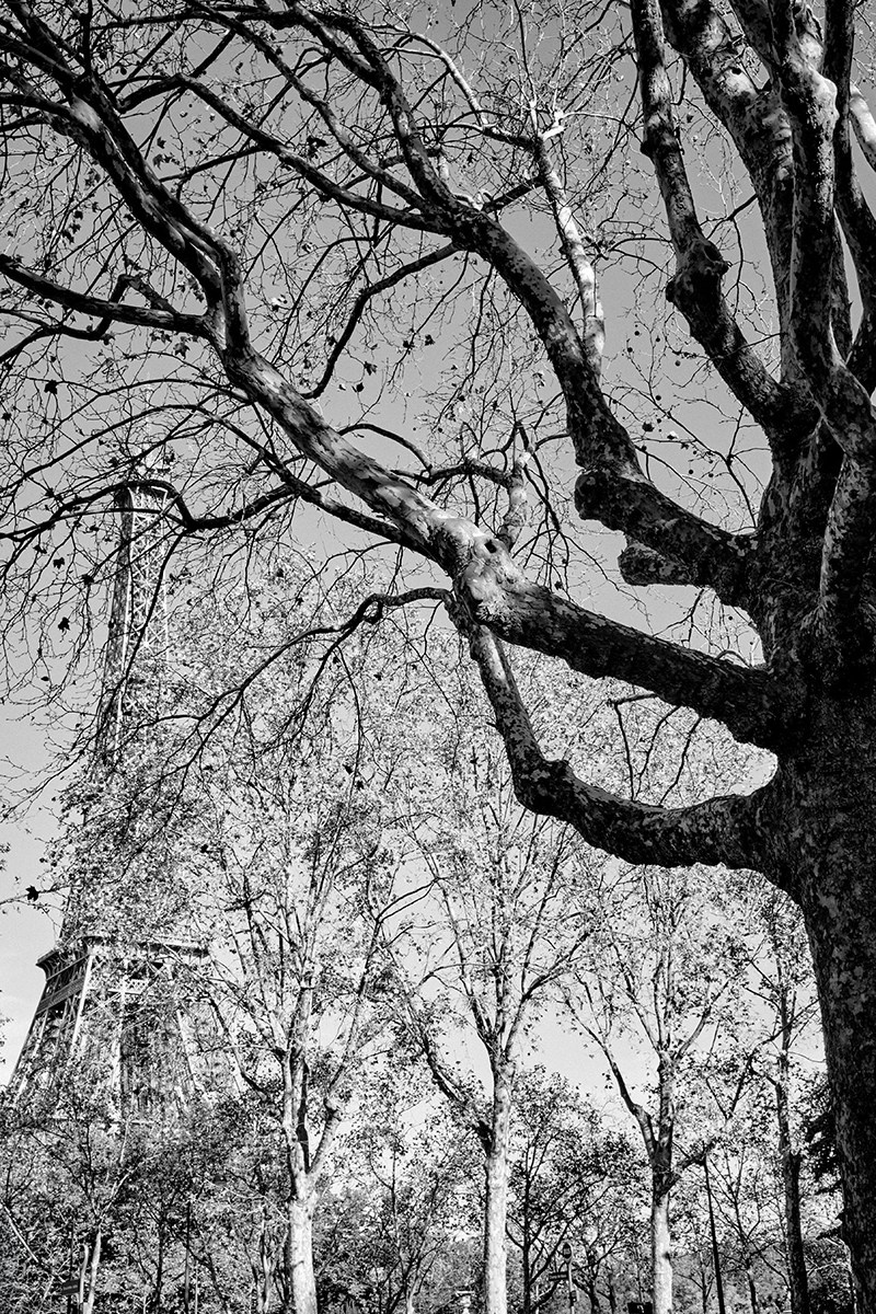 Paris_2023. Портретный фотограф Алена Новгородцева