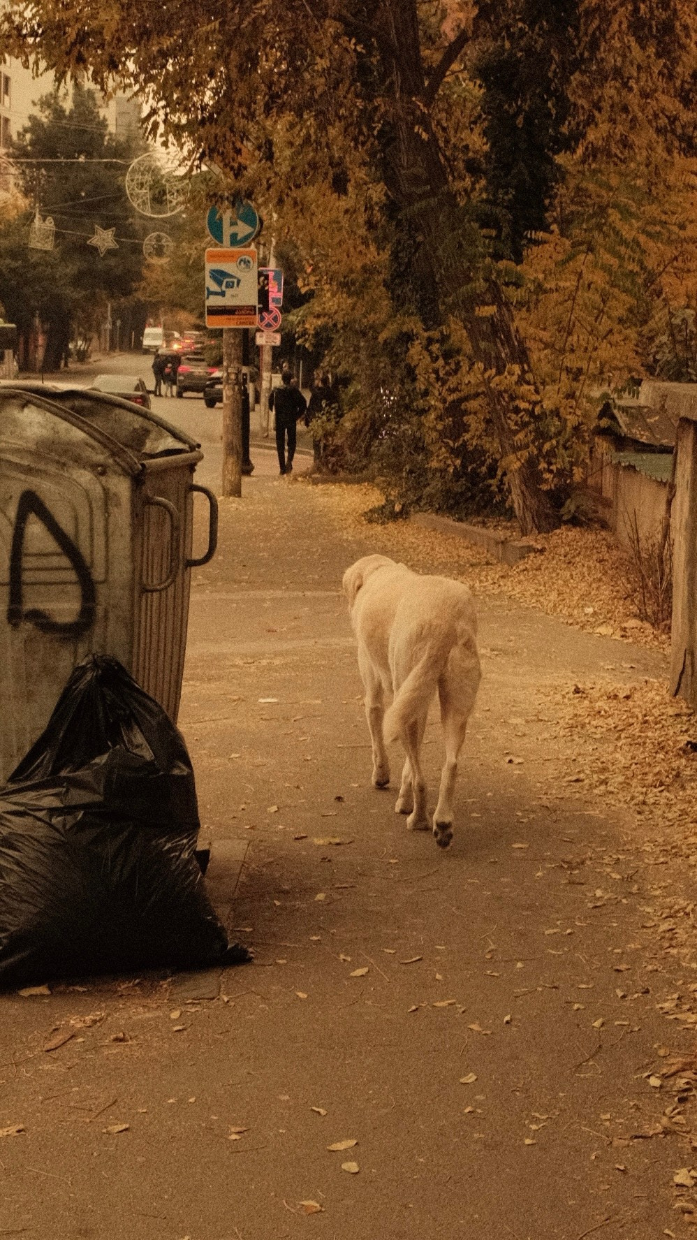 OLD & WARM. @Gio.Fujifilm official Fujifilm Ambassador & X-Photographer in Georgia