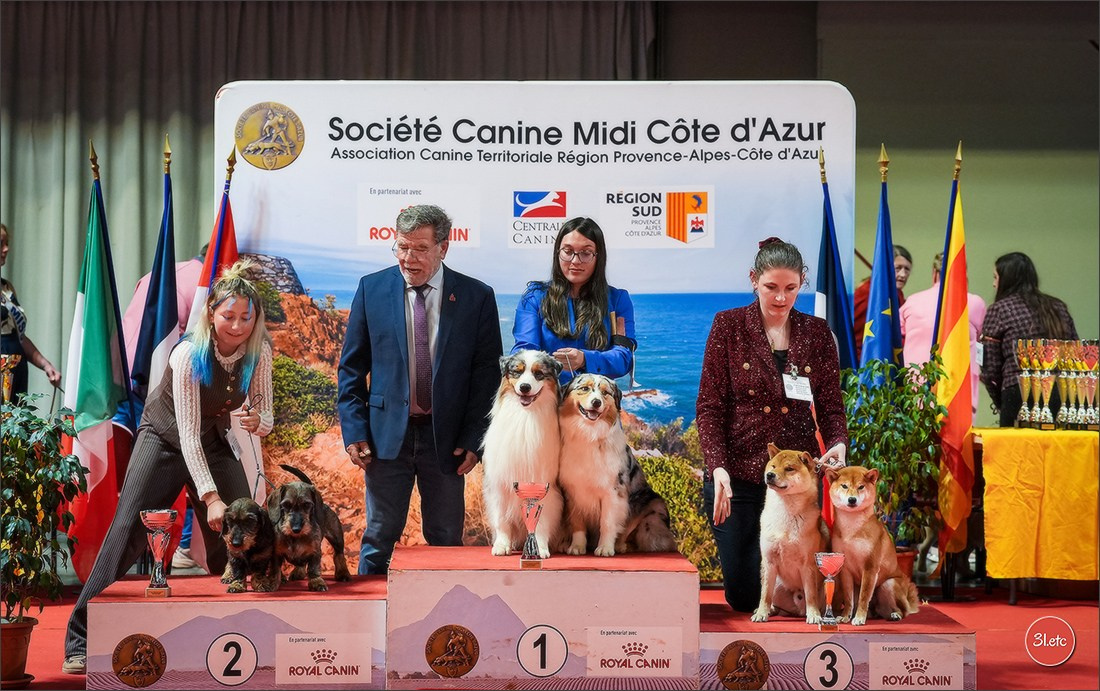 Expo canine 🇫🇷 Martigues 18-19/04/2026