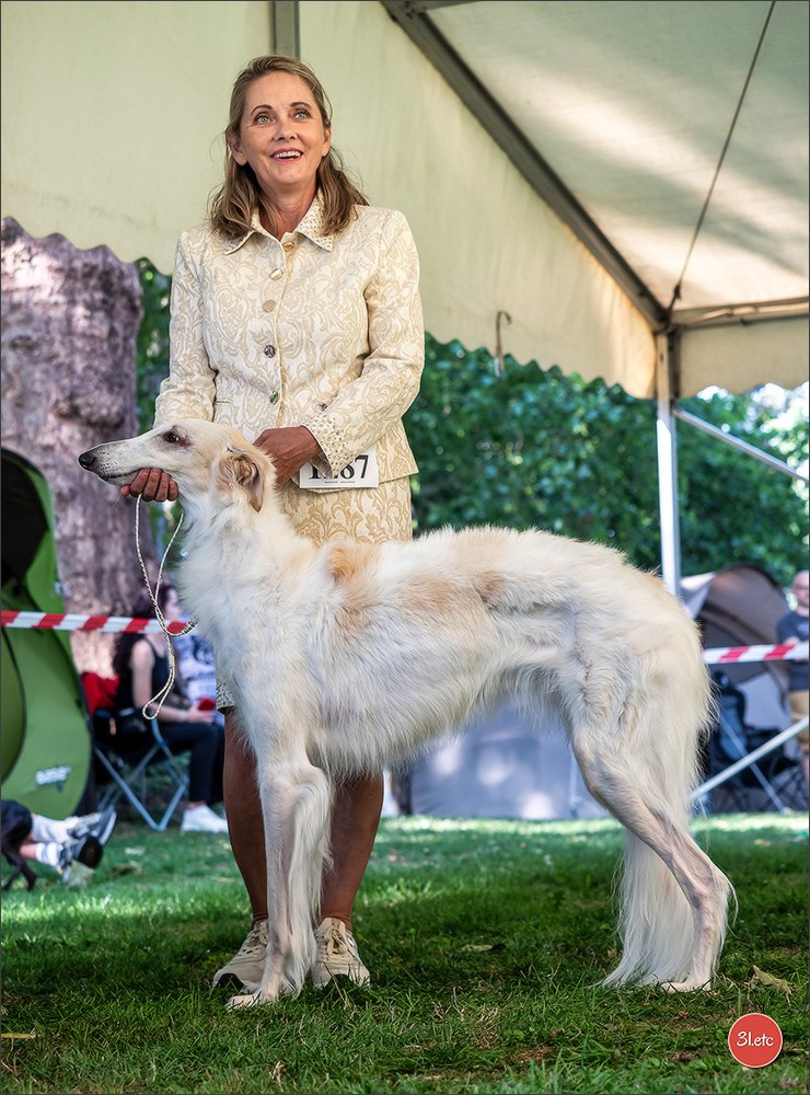 Dog Show Ludwigshafen  🇩🇪  16-17/08/2025. Photographe à Strasbourg | Portraits, Studio, Enfants, Événements