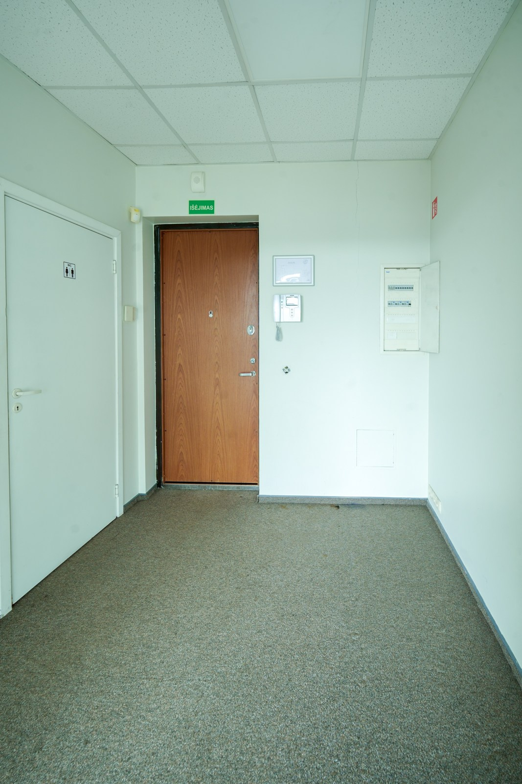 Olimpiečių 1. Elina Sapiega fotografė Vilniuje