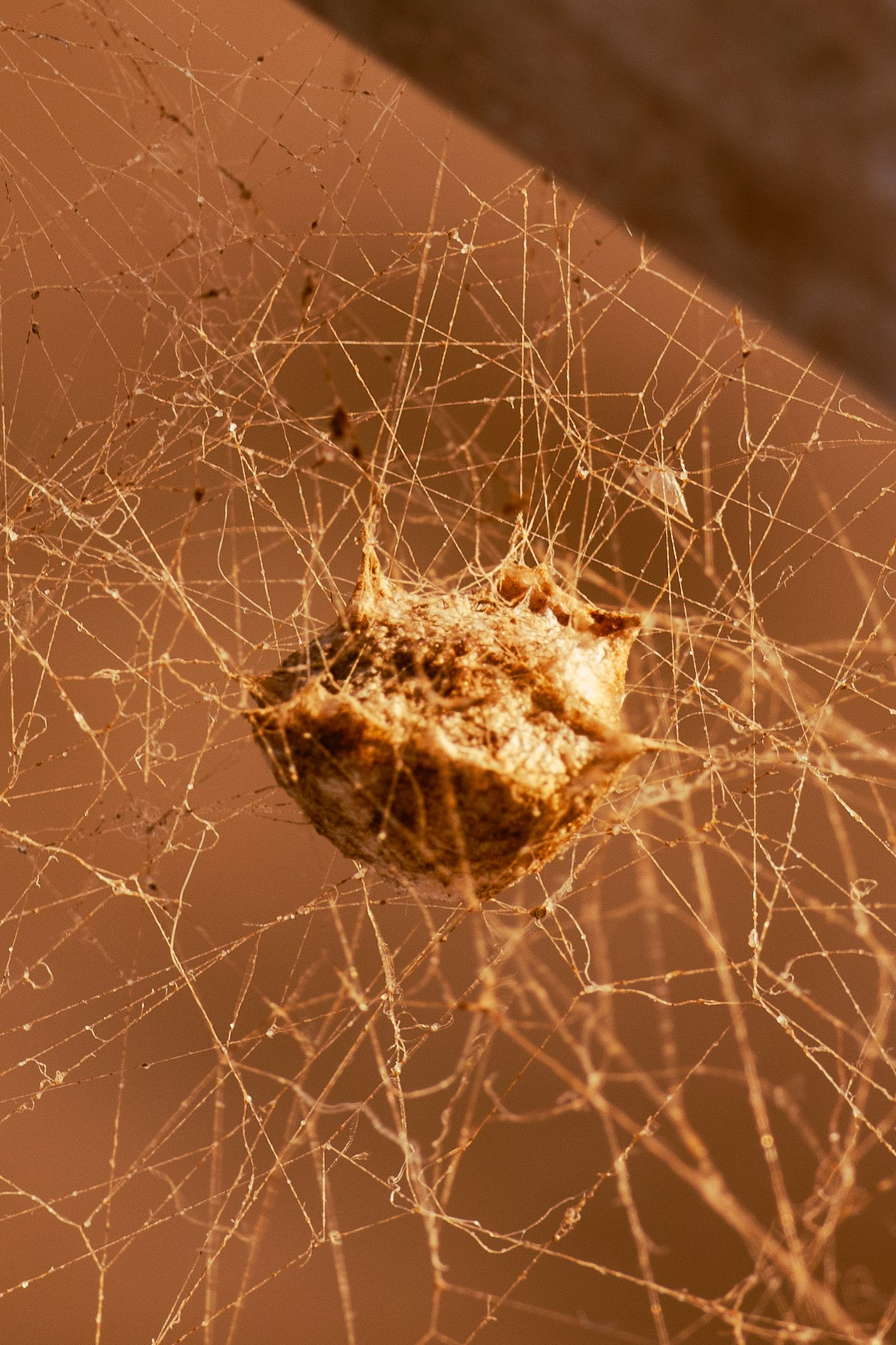 Kilyos — Wind, Sand & Firelight. JourneyUP Visuals