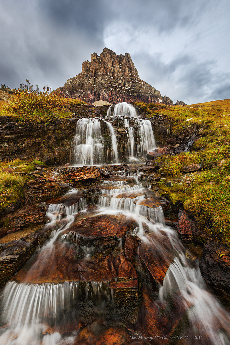 Glacier National Park. Pet, Senior, Landscape, portrait studio, photographer in Miami and Sou