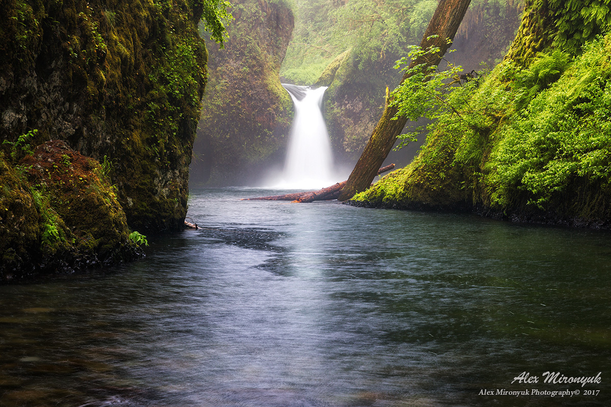 Columbia River Gorge. Alex Mironyuk Photography