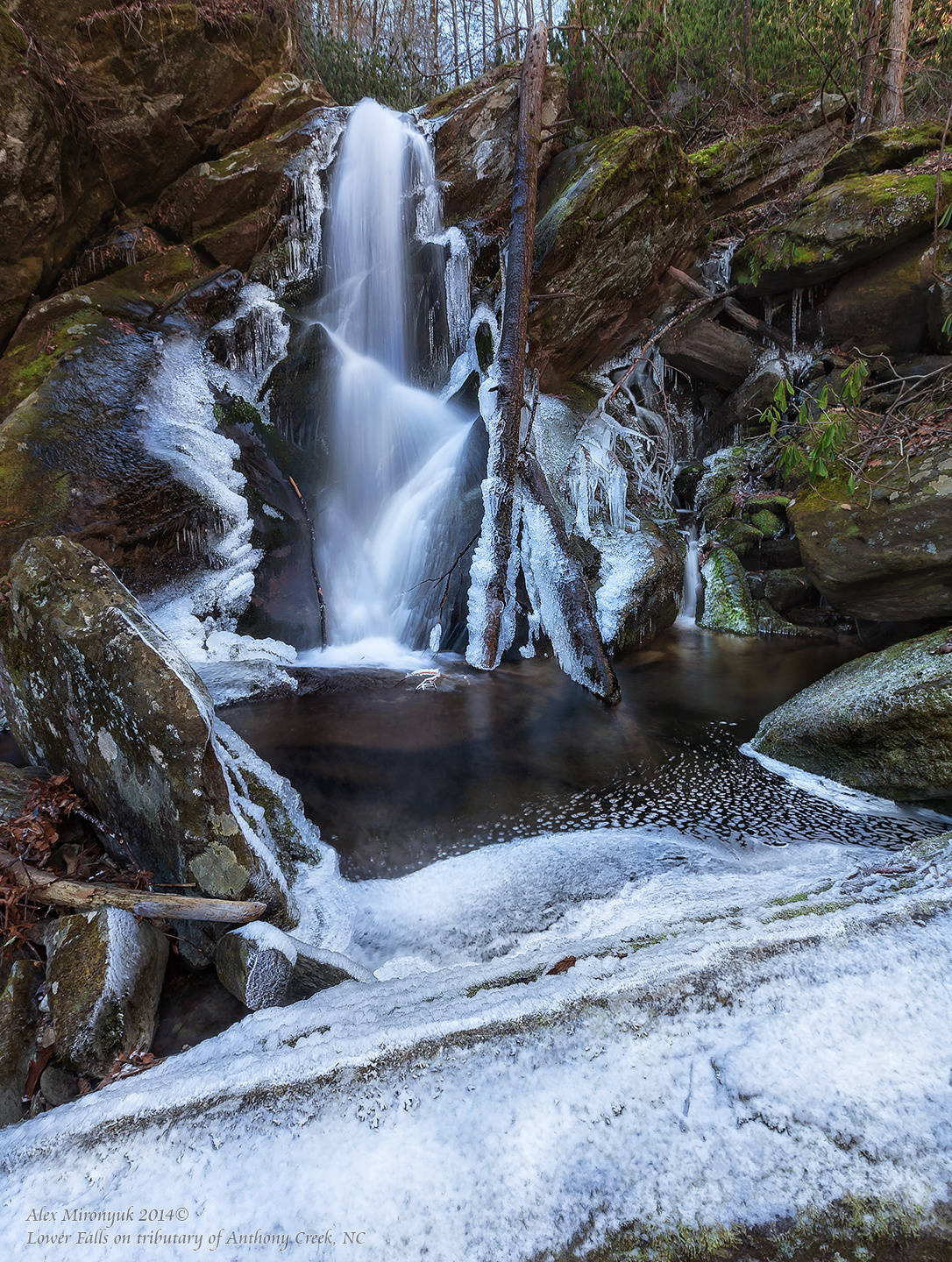 Great Smoky Mountains. Pet, Senior, Landscape, portrait studio, photographer in Miami and Sou