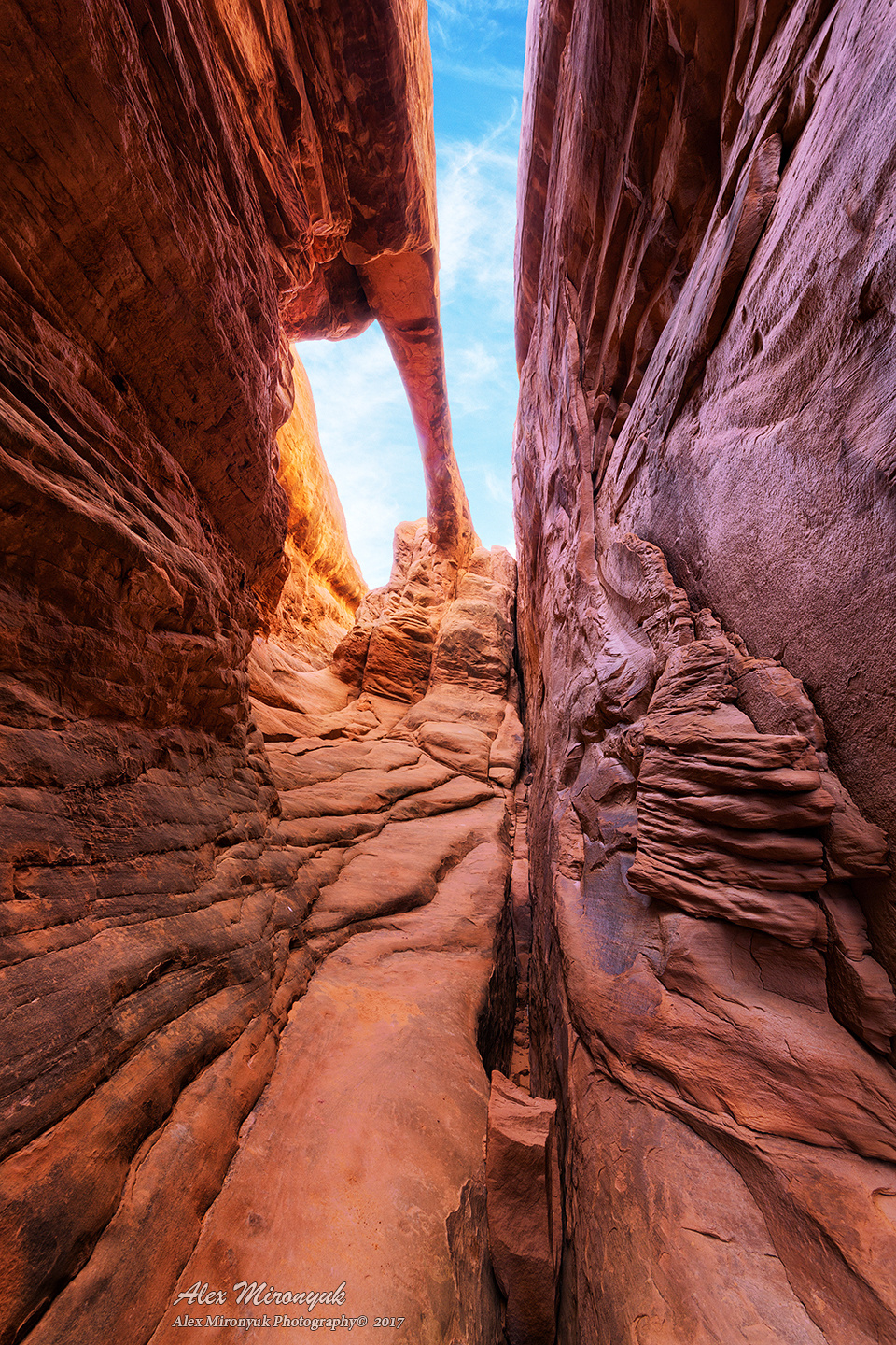 Arches National Park. Pet, Senior, Landscape, portrait studio, photographer in Miami and Sou