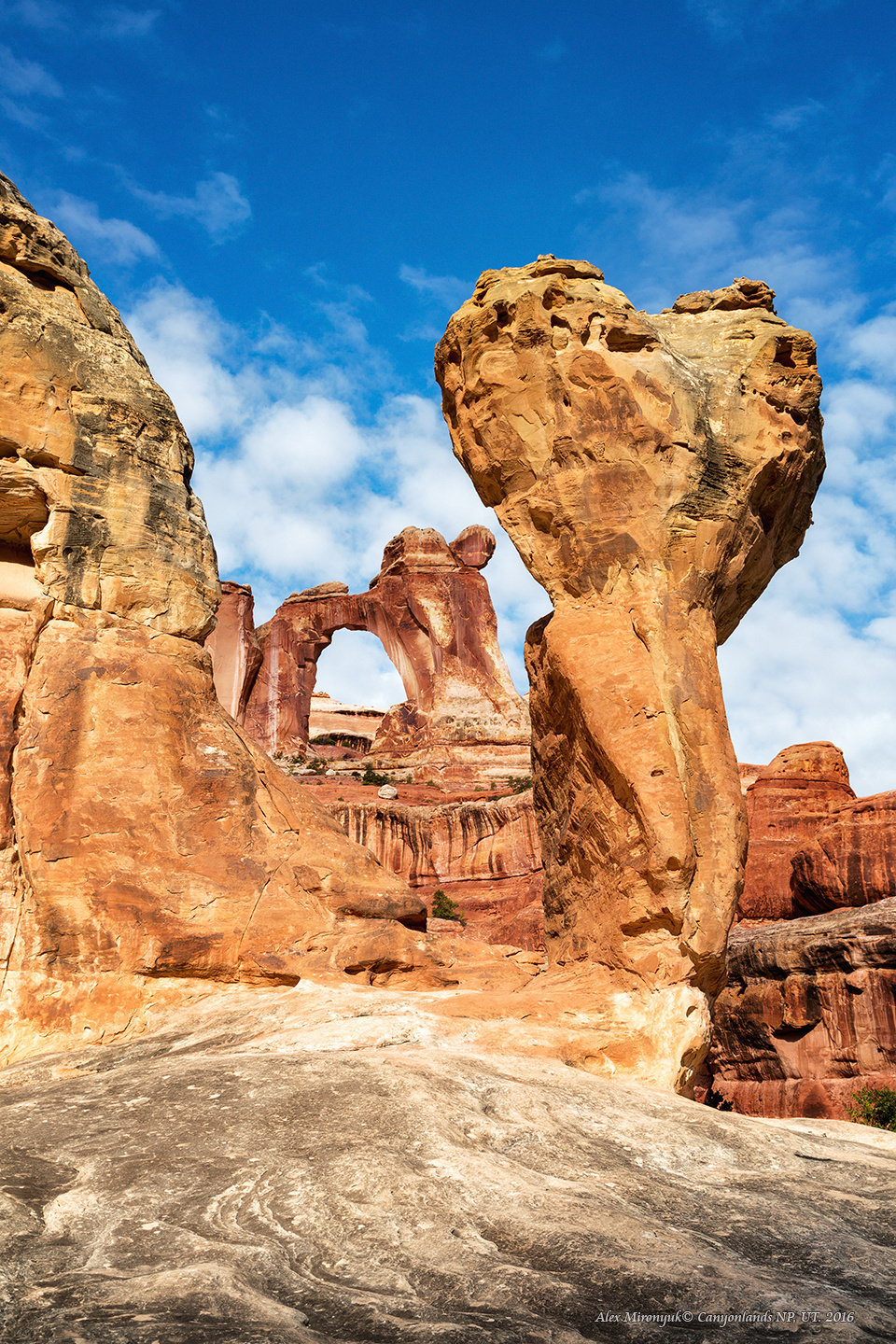 Canyonlands National Park. Alex Mironyuk Photography