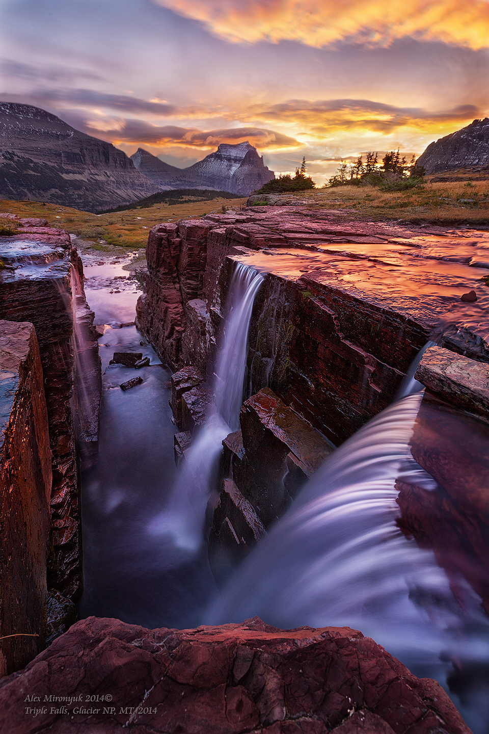 Glacier National Park. Pet, Senior, Landscape, portrait studio, photographer in Miami and Sou