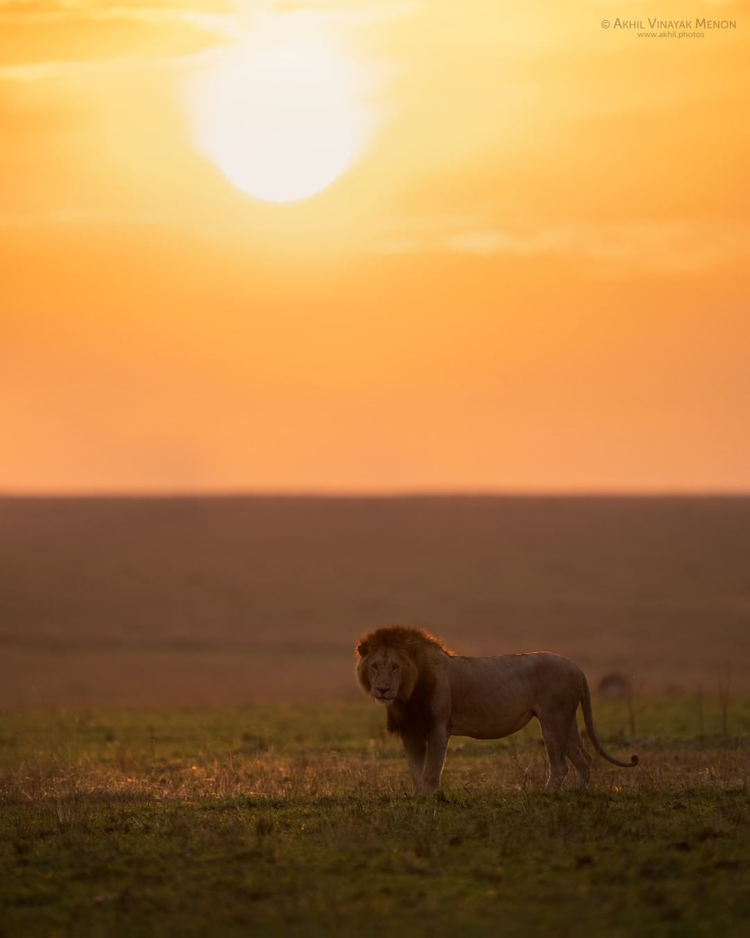 KENYA GALLERY | AKHIL VINAYAK MENON PHOTOGRAPHY. Akhil Vinayak Menon Photography