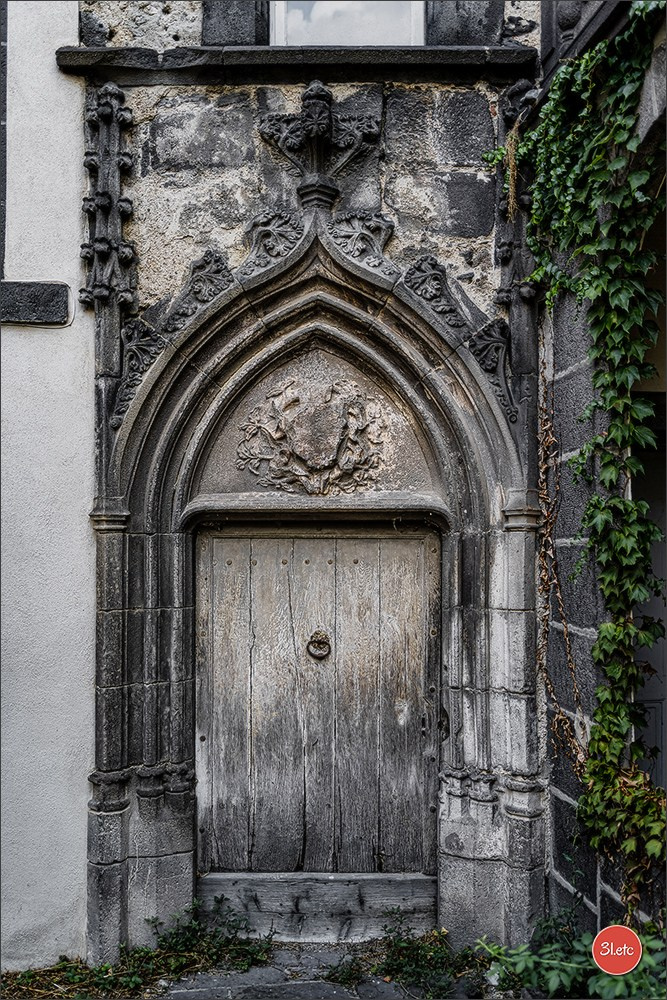 Riom (63200)  🇫🇷  2026. Photographe à Strasbourg | Les animaux, Portraits, Studio, Événements