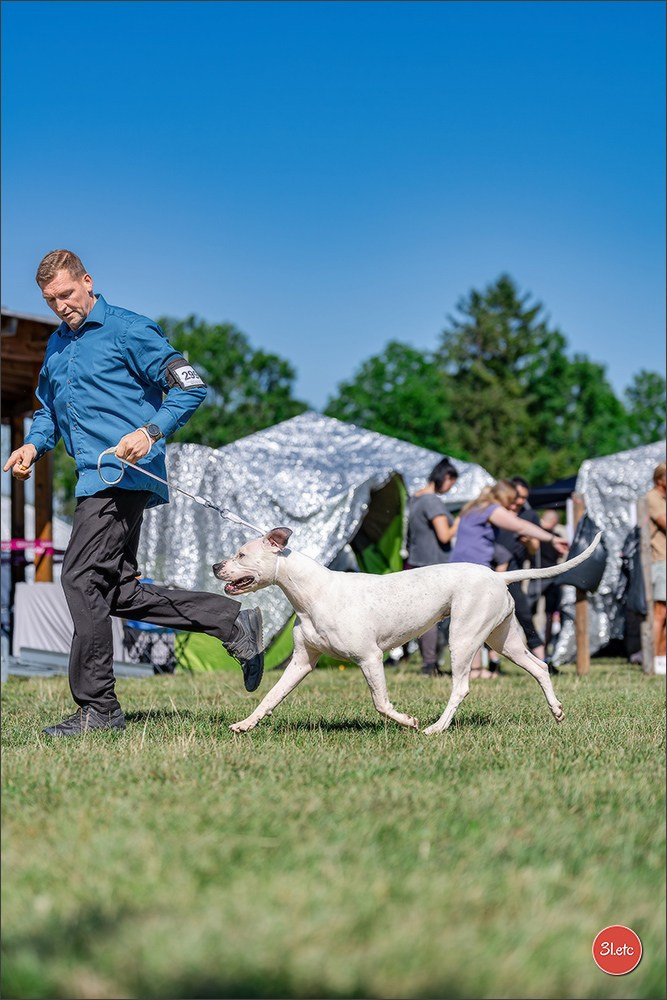 Dog Show - Hallbergmoos 🇩🇪 11-12/07/2026