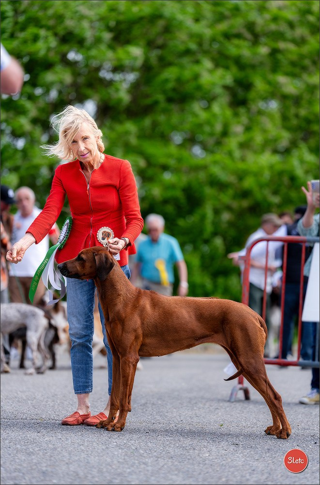 Expo canine 🇫🇷 Valence 02-03/05/2026